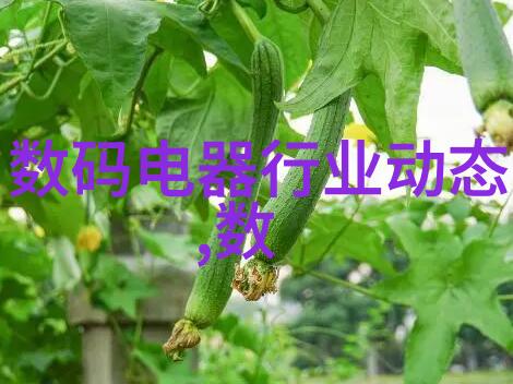 无人区免费观看视频完整我在网上找到了一个神奇的网站你可以完全免费地看完整部电影了