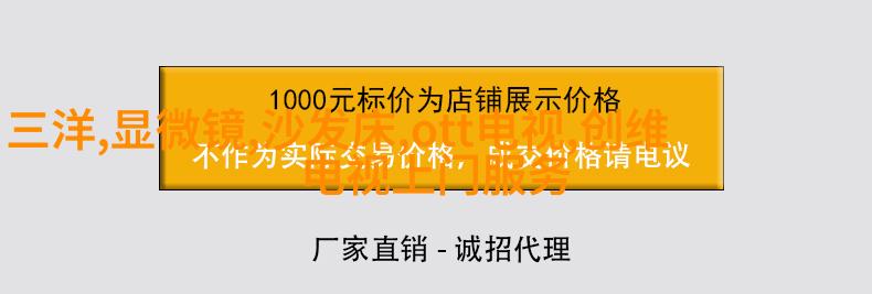 暖阳下的阅读角落