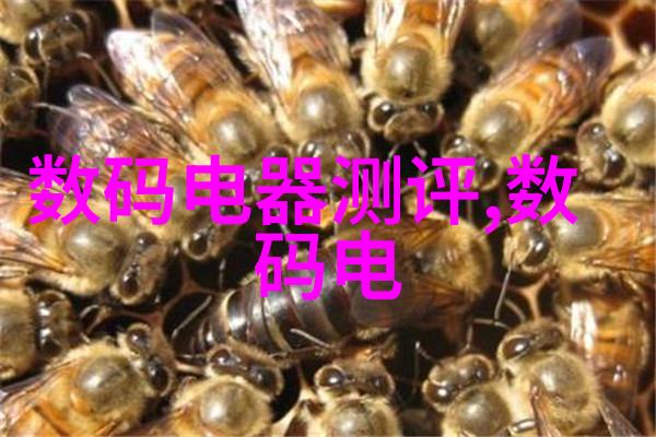 教育资源配置在校园建设中占了多少比例呢