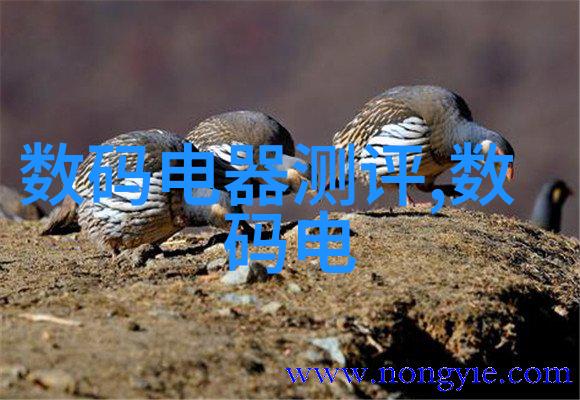 上海纯水设备公司我是如何在上海纯水设备公司找到了最清澈的工作机会