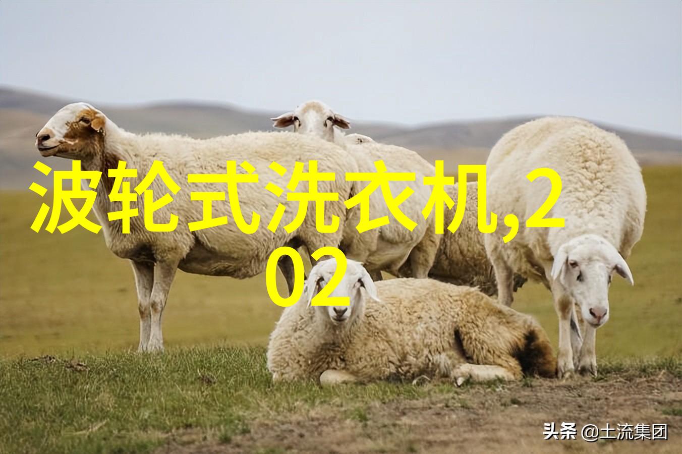 给我讲讲那些成功故事在他们找到合适客户后他们是怎样推动了自己的医疗器械业务