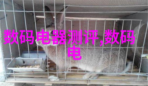 四房播播揭秘影视行业的奇幻世界