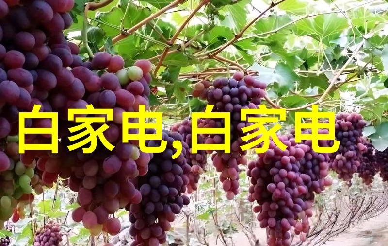 第一财经谈股论金我的投资小贴士如何在市场波动中守住钱包不受损害