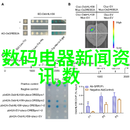 自动化码垛机提升仓储效率的智能解决方案