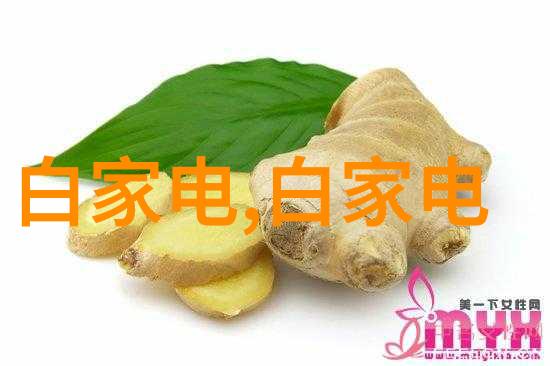 小学生的文创奇遇坤巴插小学生作文之旅