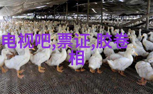 科技相机-探索卓越深度解析索尼A7R2的全像素传感器与拍摄性能