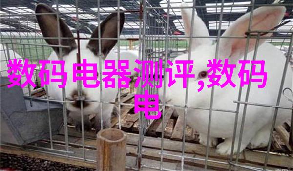 清新源泉大型净水设备安装的艺术与科技