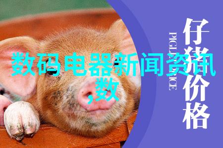 瑜伽之旅第三位导师的力量