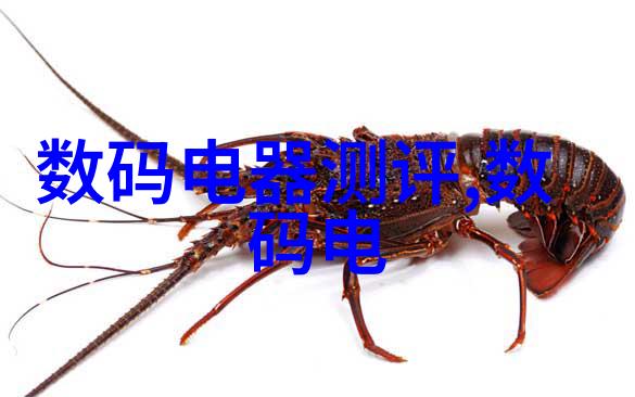 心理测评系统揭秘你是不是医院里的精神小偷