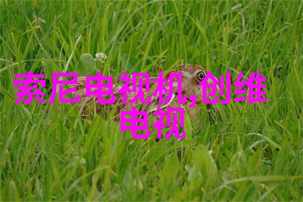 广西财经学院金融教育的新风向标