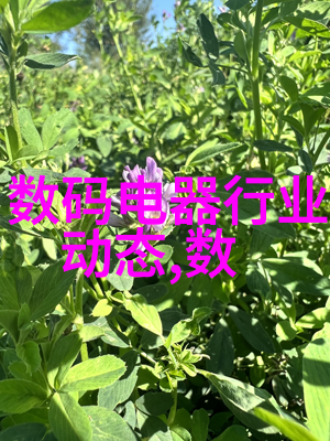 世联行股票投资分析与市场预测