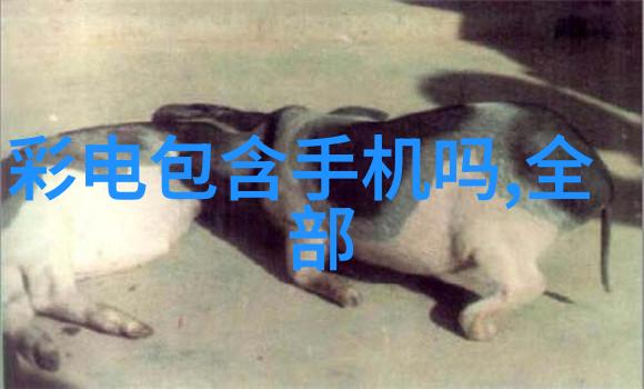 大香煮蕉伊国语视频-跨文化料理探秘揭秘大香煮蕉背后的伊国语视频