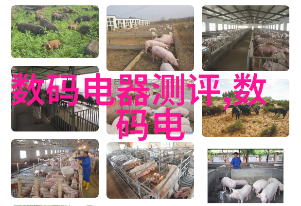 新世纪创意笔记本电脑新品发布会