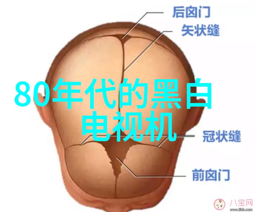 高性能化工颗粒剂机械对产品质量影响怎样