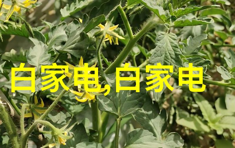 案例1