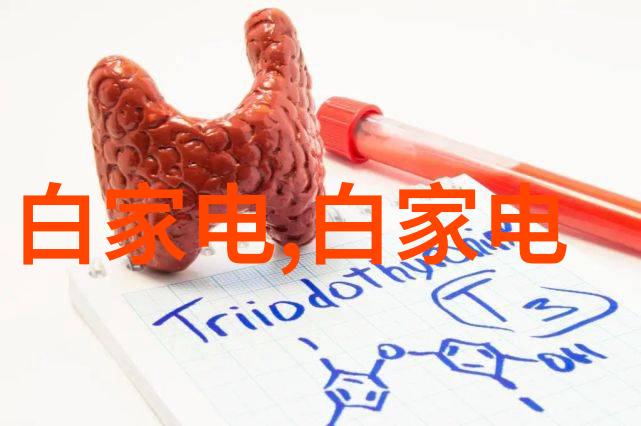 学生如何参与江苏财经职业技术学院的实践教学活动