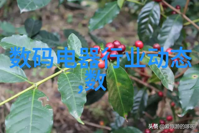卫生间奇迹从暗淡到璀璨的装修变革