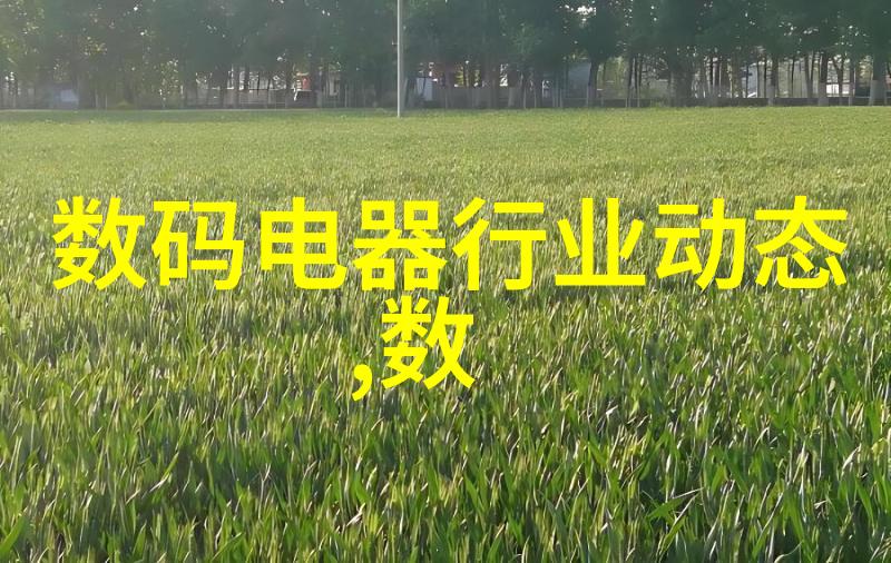 金丝帐poH-织梦金丝探索诗意编织的艺术与传统