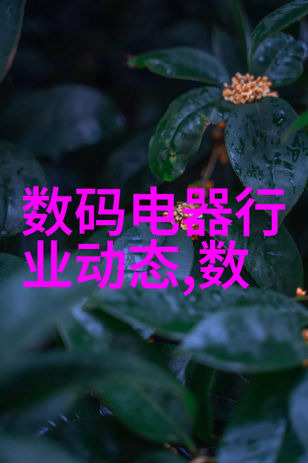 创新驱动捷荣技术的智能未来探索