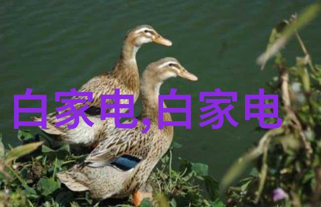 地球磁场对水平儀读数影响及应对策略