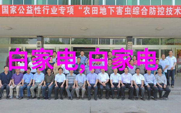人工智能是青春饭专业吗我眼中的AI从新鲜人到职业选手