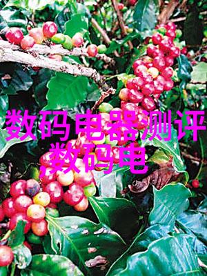 如何评估一个产品是否适合采用低温等离子体灭菌过程