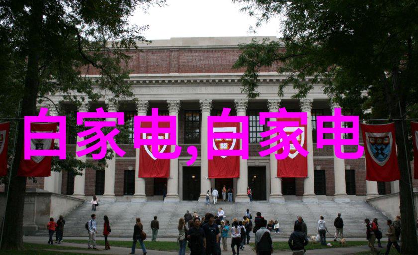 科技欺诈-千亿芯片大骗局背后的金融网络与科技谎言
