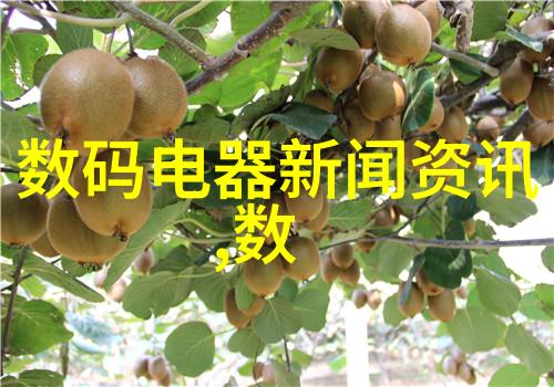 军用软件评估指南确保战略决策的准确性