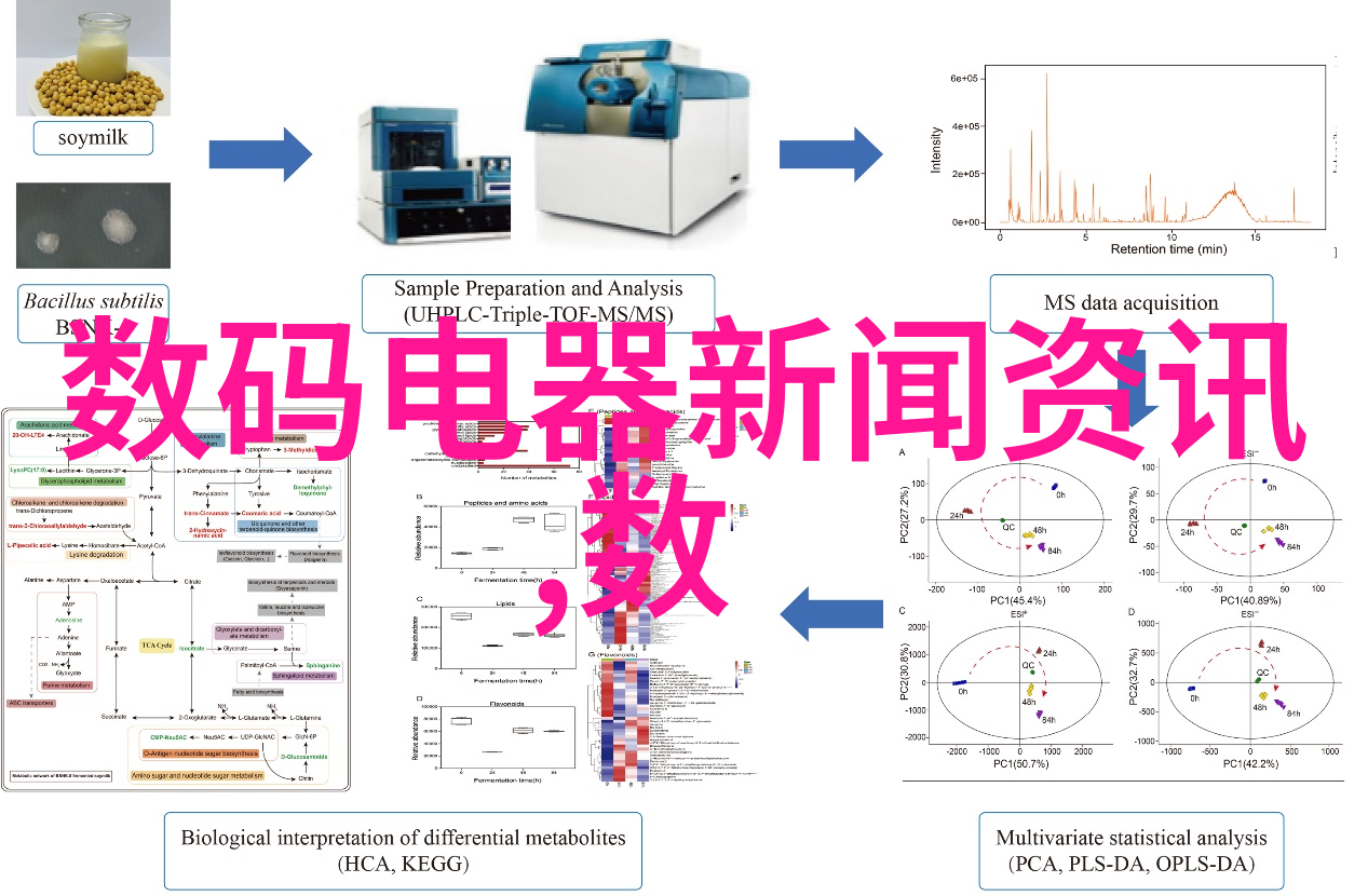 精密压力填充机保证胶囊剂质量的核心设备