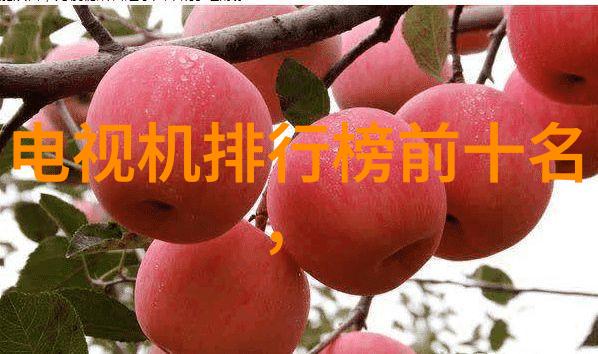 特务搜查官风子揭秘风云