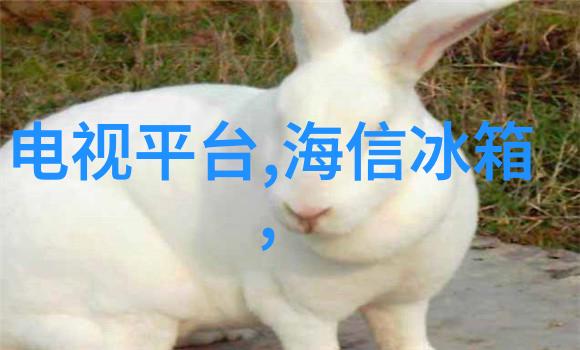 金融市场风云变幻财经郎眼解读经济走向