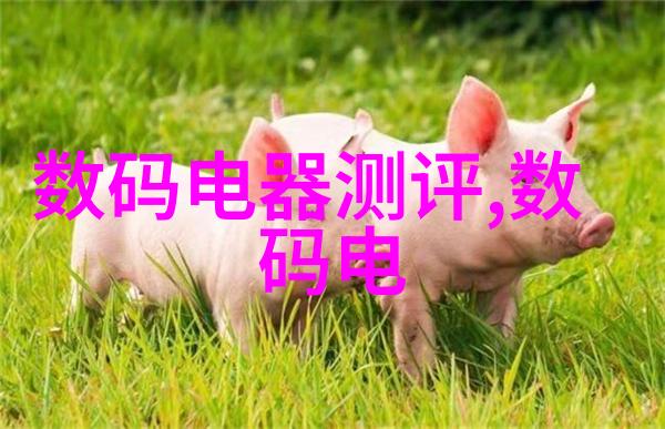 如何选择合适的干燥设备干燥设备厂的专业建议