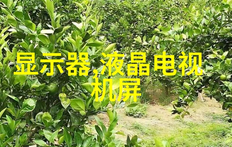 家庭清洁小技巧揭秘洗碗机的使用奥义
