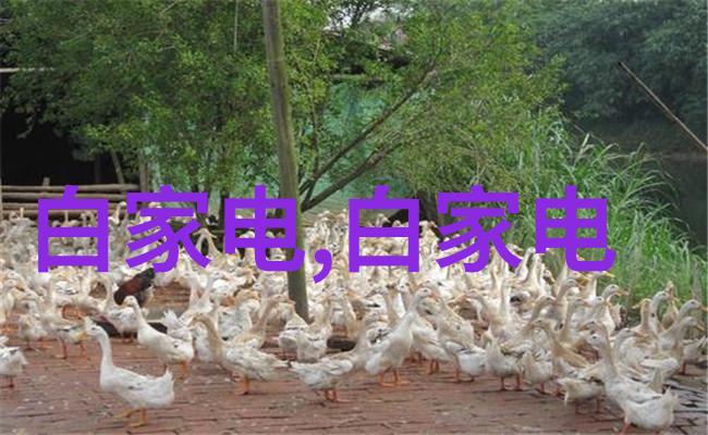 货车配件批发市场热销排行榜揭秘最受欢迎的配件类型