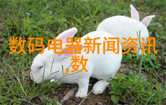 屠宰设备之关键解析高效的肉类加工系统