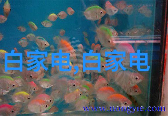 在食品工业中使用特定类型的化工制冷技术可以解决什么问题