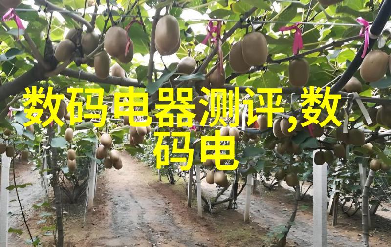 现代化工厂通常采用的是那种类型设备更为常见是高压反转针管还是低压反转针管以及他们各自有什么优缺点吗