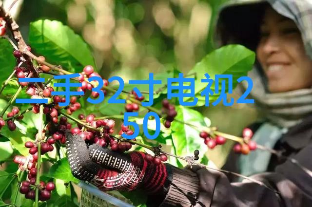 储存化工用品的安全与便捷了解化工贮存设备的重要性