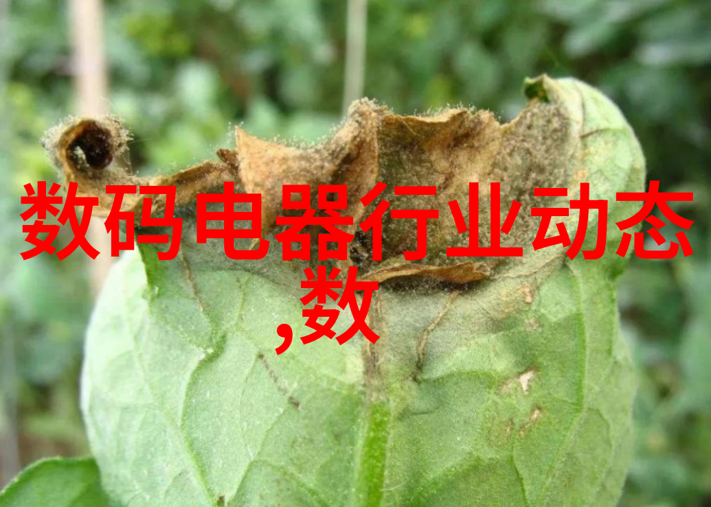 抬头 看镜子 我们继续-凝望自我一段心灵的旅程