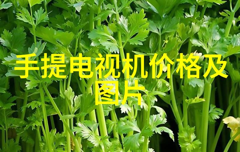为什么要看摄影师的个人网站？