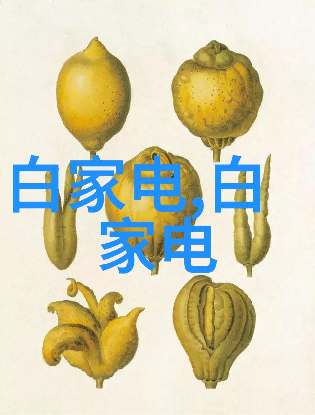 水底之谜一场寻找清澈梦想的无价之旅