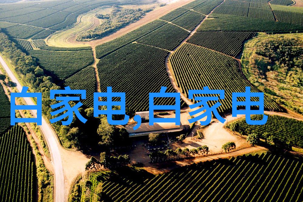 在家办小型加工厂-家居工业革命创业者的新选择
