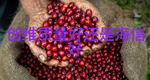 郑州装修设计 - 河南美学探索郑州家居装修的艺术与科技融合