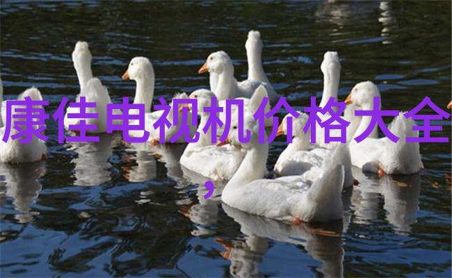 股市神秘变动今日跌宕起伏背后藏着什么秘密