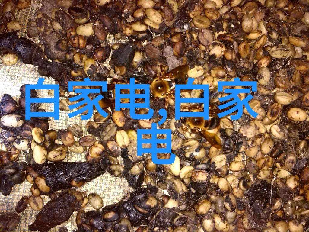 森林里的文本狂欢杉杉的TXT盛宴