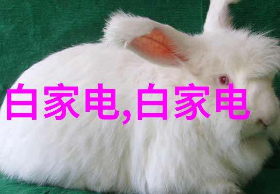 常州机电职业技术学院 - 常州机电职业技术学院培养卓越的机械与电子人才