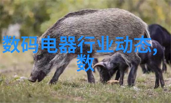 萍乡波纹填料用途-探索萍乡波纹填料的多面性从建筑装饰到工业应用