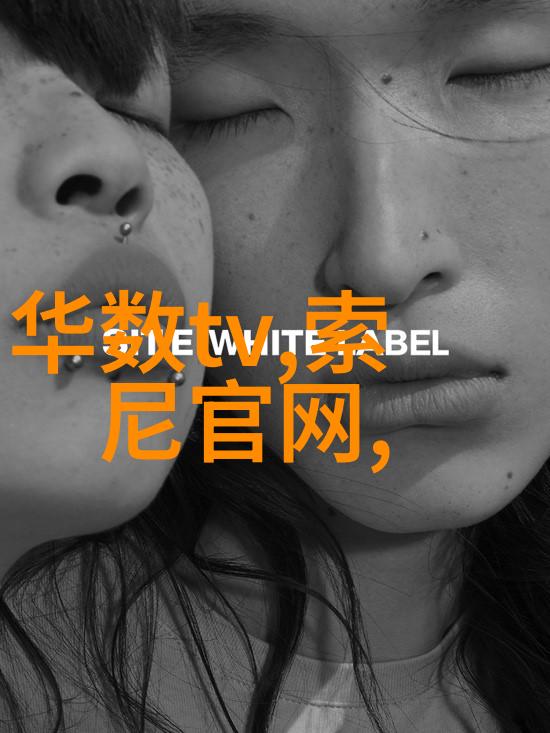智能制造-MES系统提升生产效率的智慧引擎