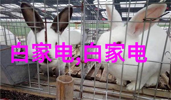 苹果新一代iPhone亮相革新科技重塑未来