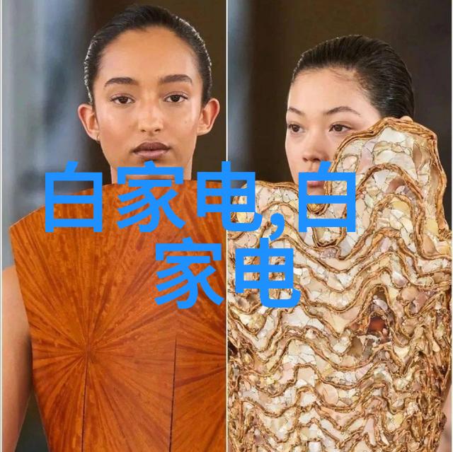 亲身实践我的经验在如何成功地申请个别特许权证中所学到的教训